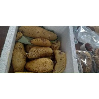 Mật ong hoa cà phê Đaklak