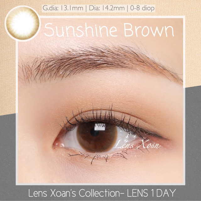 KÍNH ÁP TRÒNG 1 NGÀY SUNSHINE CỦA OLENS: LENS 1 DAY NÂU TỰ NHIÊN | LENS XOẮN