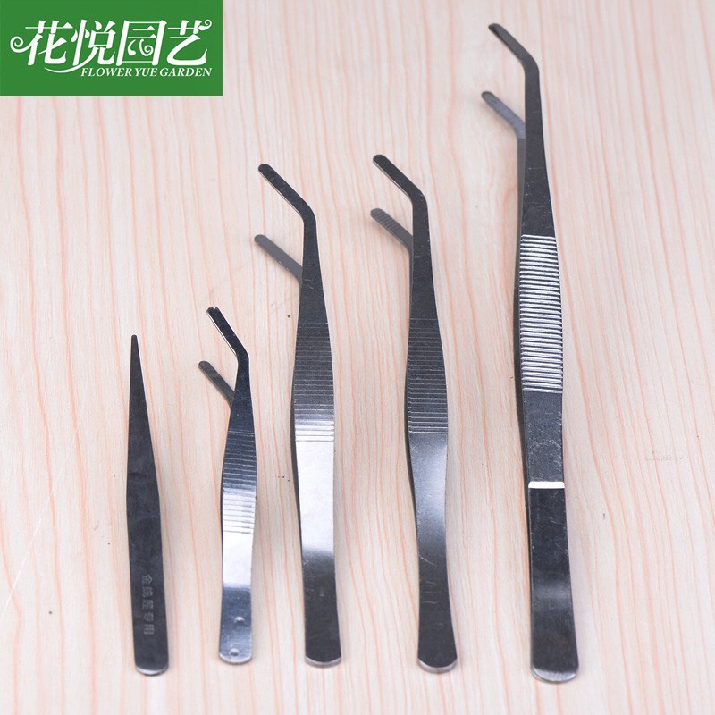 Nhíp Gắp Cây Nhỏ, Nhíp Trồng Cây, Tiểu Cảnh Sân Vườn
