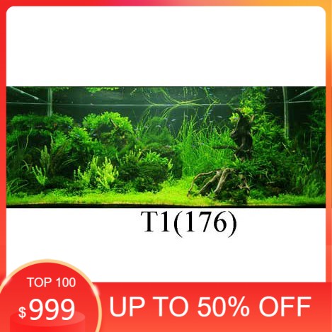 Tranh 3d dán bể cá trang trí bể cá nhiều kích thướt chọn lựa