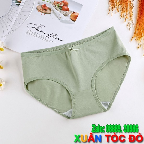 Quần Lót Nữ Cotton 7 Màu Có Nơ Cực Xinh M081