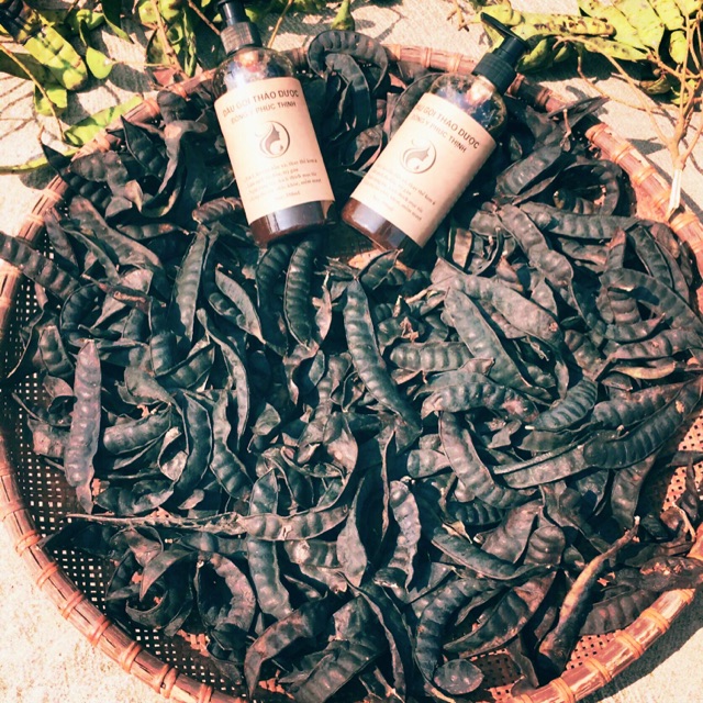 Bồ kết già