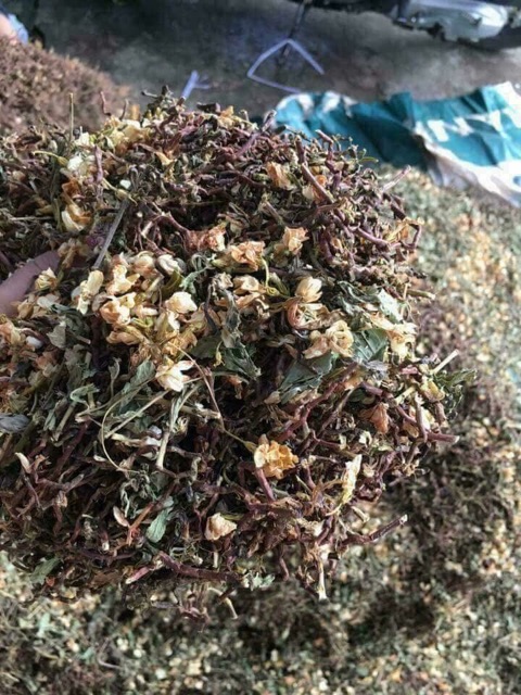 1 Kg trà Sơn mật hồng sâm nhiều hoa