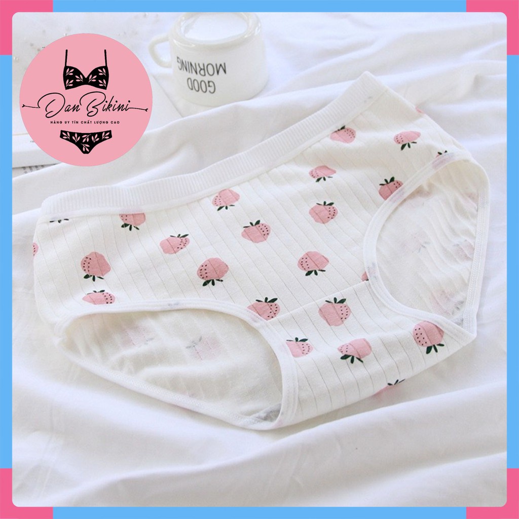Quần Lót Nữ - Quần Lót Nữ Cotton gân tăm hình dâu tây kháng khuẩn mềm mại DAN STORE Mã 671