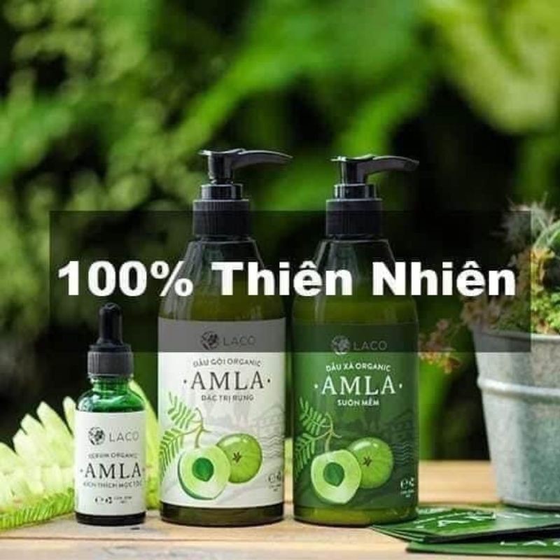 DẦU GỘI ORGANIC AMLA NGĂN NGỪA RỤNG TÓC