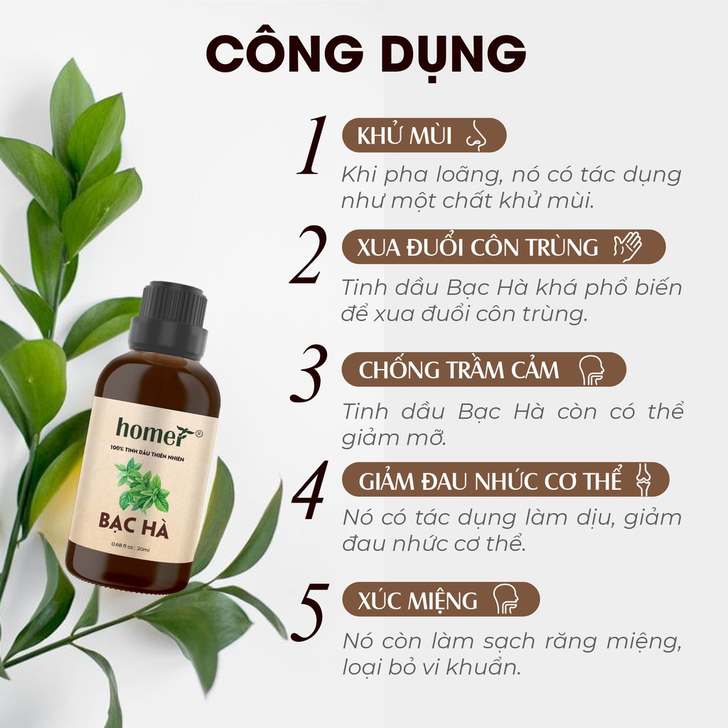 Tinh dầu Bạc Hà Ấn Homer - Peppermint Essential Oil - đạt chuẩn chất lượng kiểm định