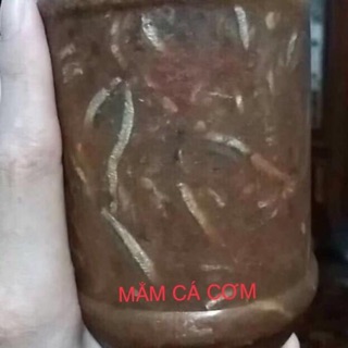 COMBO 3 hũ mắm các loại