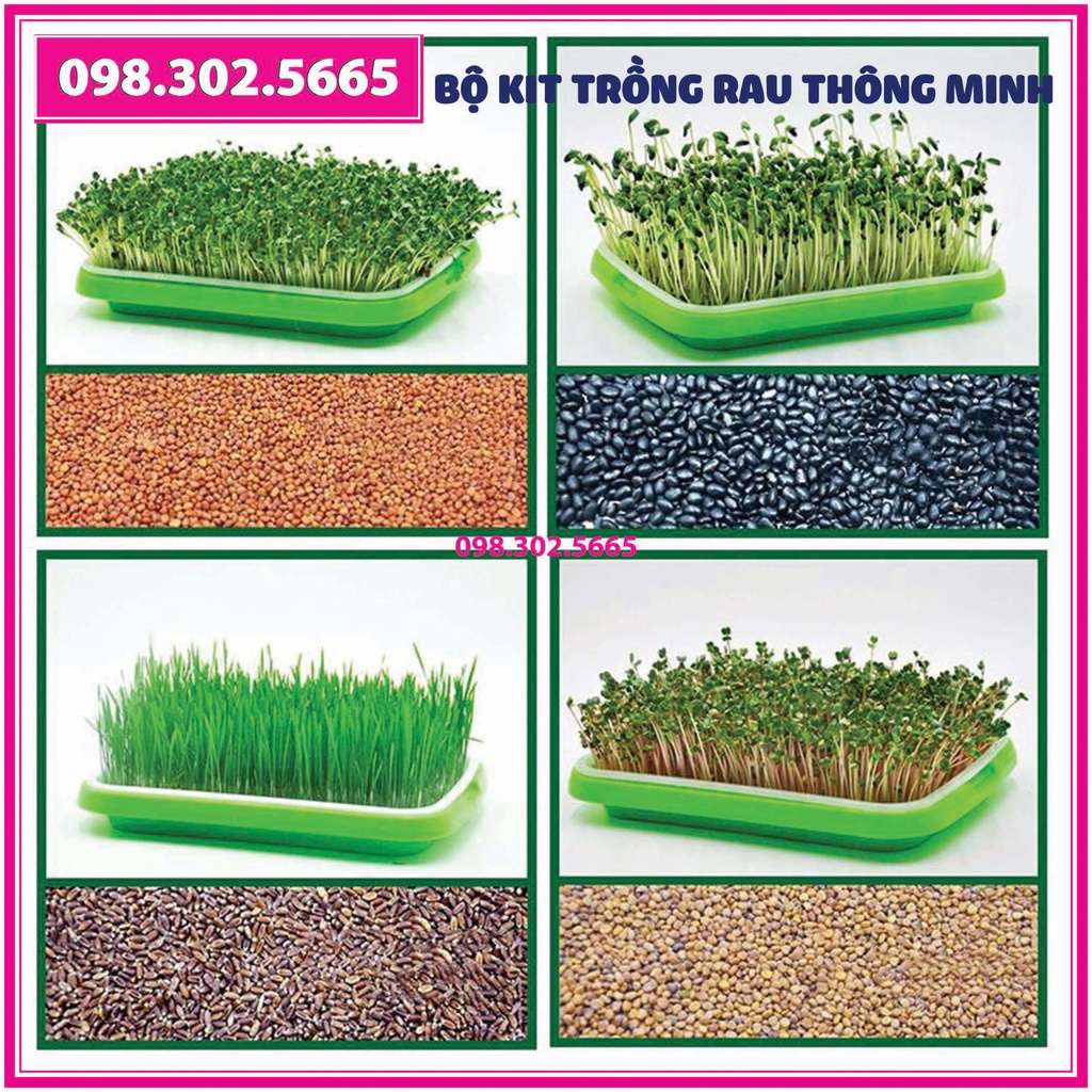 Bộ Kit trồng rau mầm 4 khay, 4 tầng bao gồm: Giá đỡ có 4 bánh + 4 Khay trồng +200g Hạt giống + Vòi