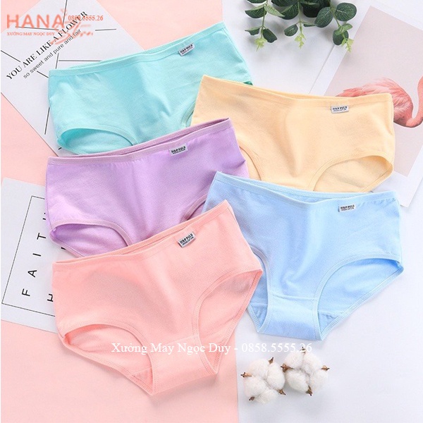 Quần lót nữ cotton trơn co giãn nâng mông vải thái mềm kháng khuẩn gen bụng học sinh người lớn mặc quần nhỏ nữ dễ thương