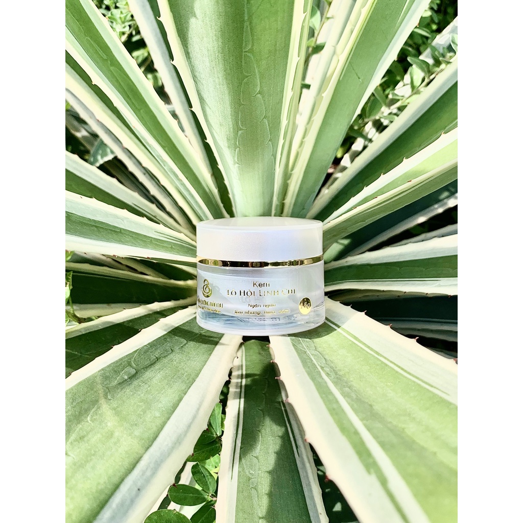 Kem Dưỡng Lô Hội Linh Chi, Dưỡng Trắng Da, Ngăn Ngừa Mụn Nám, MÃN ĐƯỜNG BẢO DỤ | BigBuy360 - bigbuy360.vn