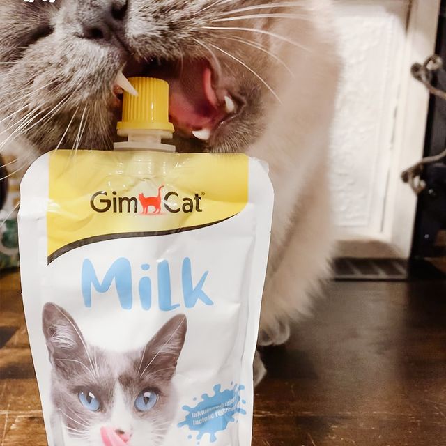 𝗨𝗿𝗯𝗮𝗻_𝗚𝗶𝗺𝗰𝗮𝘁 𝗟𝗮𝘁𝘁𝗲_Sữa cho mèo
