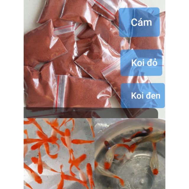 Cám cho Koi đỏ, đen guppy