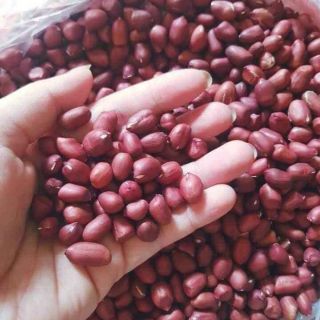 LẠC ĐỎ BÓC TAY TÚI 1KG