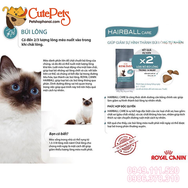 Hạt tiêu lông ROYAL CANIN INTENSE HAIR BALL 400g Thức ăn tiêu búi lông cho mèo - CutePets