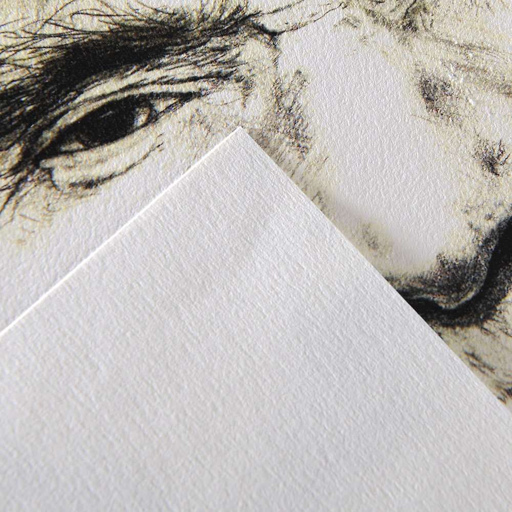 Giấy CASon Pháp 180gsm