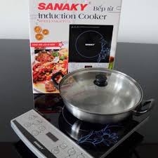 [Mã 159ELSALE hoàn 7% đơn 300K] Bếp từ Sanaky SNK- ICP 17A, tặng kèm nồi lẩu inox (Hàng Chính Hãng)