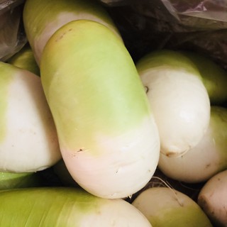 CỦ CẢI HÀN QUỐC TƯƠI 1 Củ