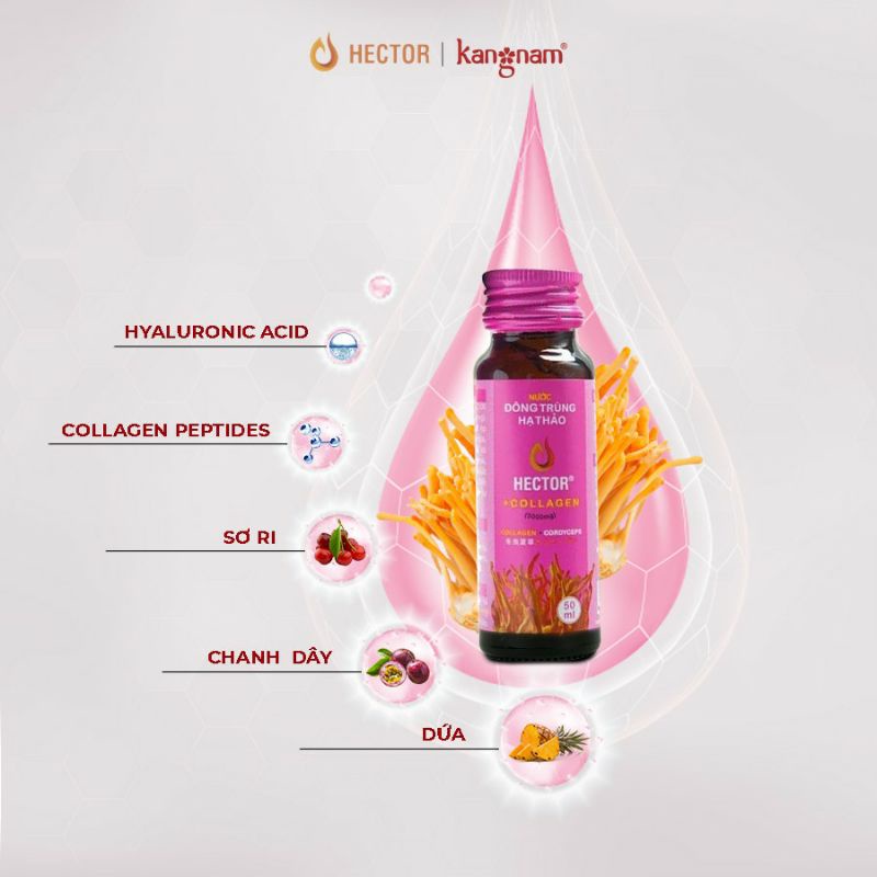 Nước Đông Trùng Hạ Thảo Hector Collagen ( 1 Hộp 10 Chai)