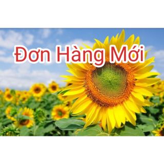 Com bo San phẩm