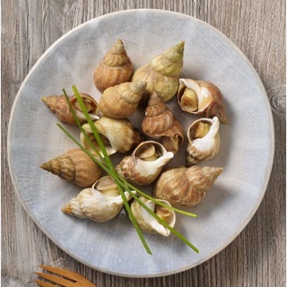 Ốc Bulot Pháp 500Gr [ Giao Nhanh HCM]