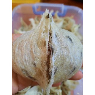 Yến sào thô tổ