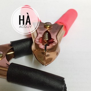 Kẹp Acquy  50A - 8Cm - 1 cặp
