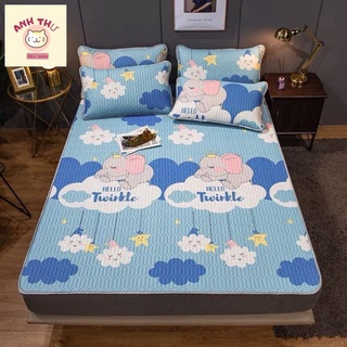  Nhiều Mẫu  Chiếu Điều Hòa Cao Su Non 3D Làm Mát Dễ Ngủ Tặng Kèm 2 Vỏ Gối . 