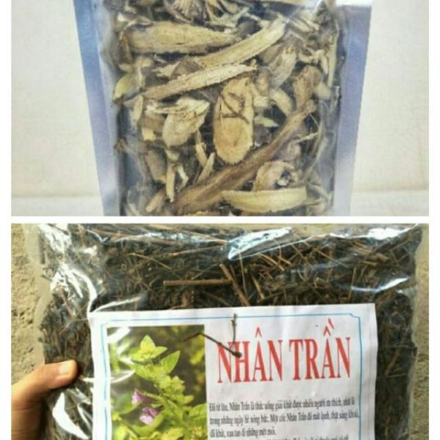 Sỉ toàn quốc giá rẻ kombo 1kg nhân trần + 200g cam thảo