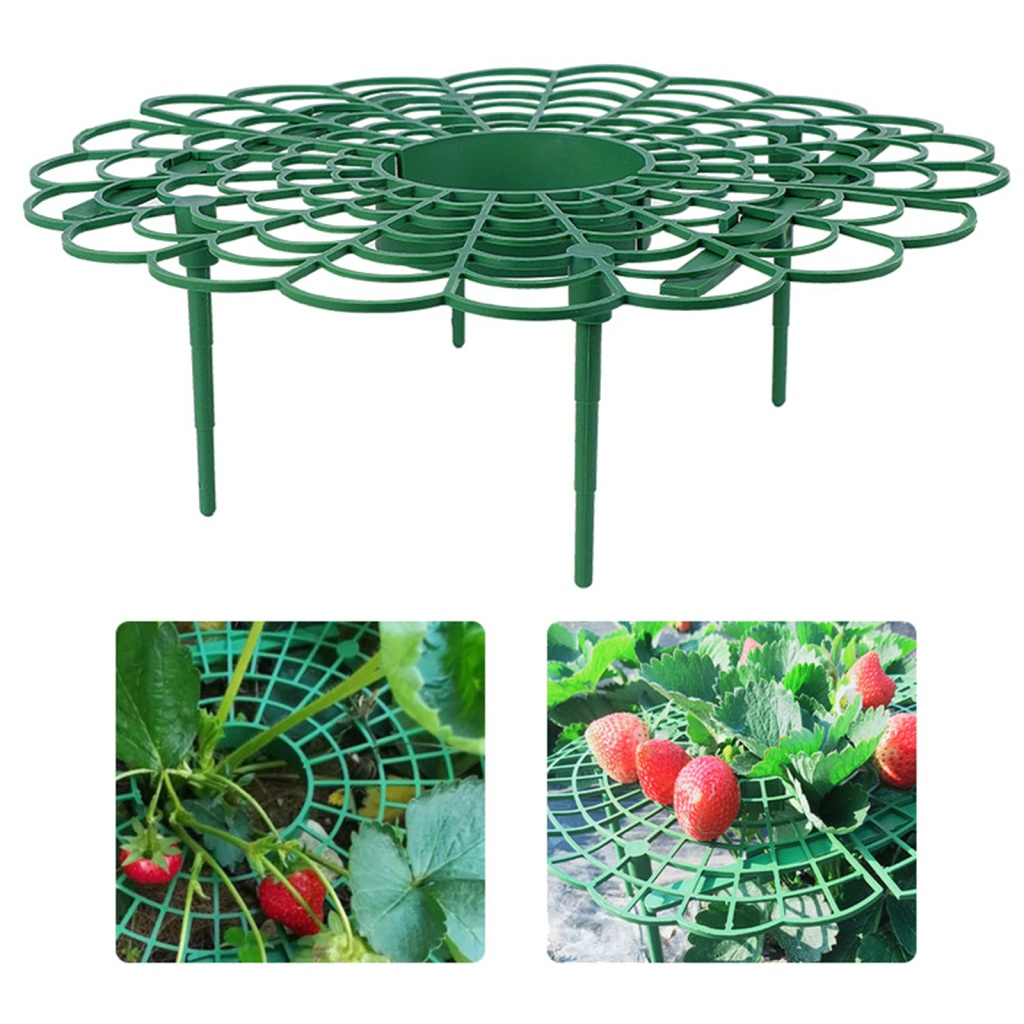 Giá Đỡ Tròn Bằng Nhựa Để Trồng Cây Dâu Tây Tiện Dụng
