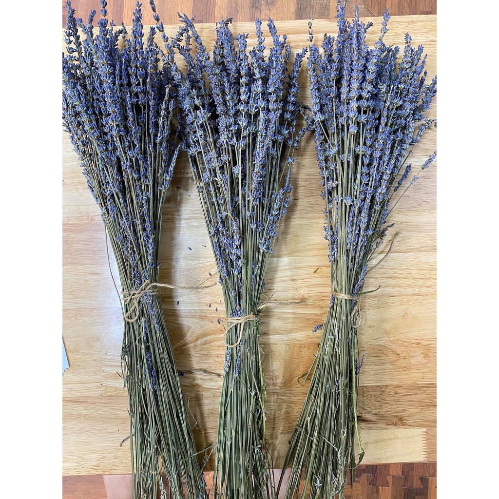 Bó hoa Lavender ( hoa Oải Hương ) khô tự nhiên