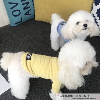 Áo lọ cho thú cưng