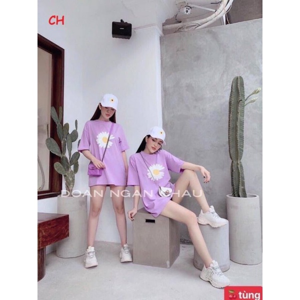 ÁO THUN CỘC TAY, ÁO PHÔNG NỮ HÌNH HOA CÚC BỐN MÀU, MỀM, MỊN, CỰC XINH