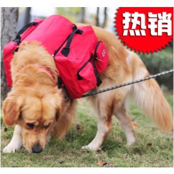 Ba Lô Dã Ngoại Thời Trang Cho Cún Yêu