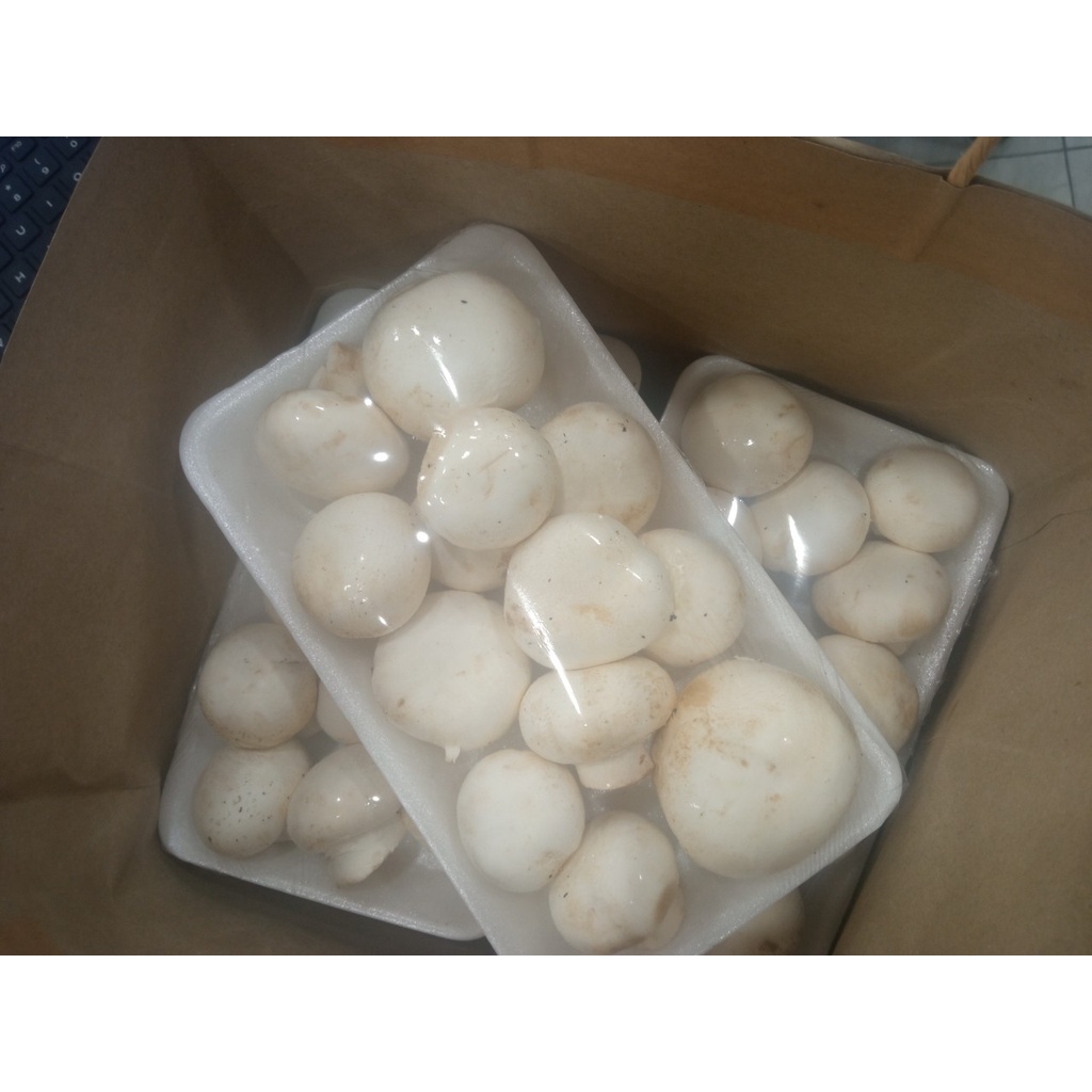 nấm mỡ trắng (hàng đẹp) Giá: 175k/kg 340k/2kg
