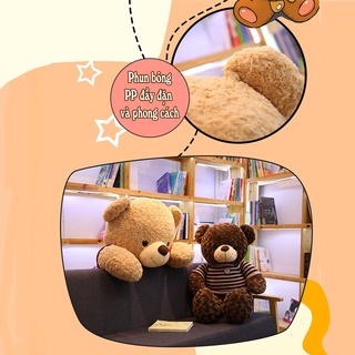 Gấu Bông Teddy