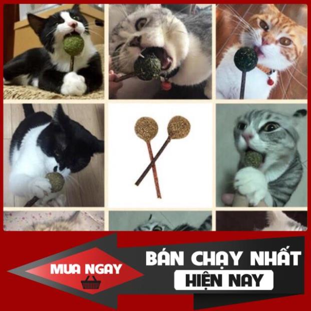 Que Catnip Cỏ Mèo Khô Hình Ngẫu Nhiên