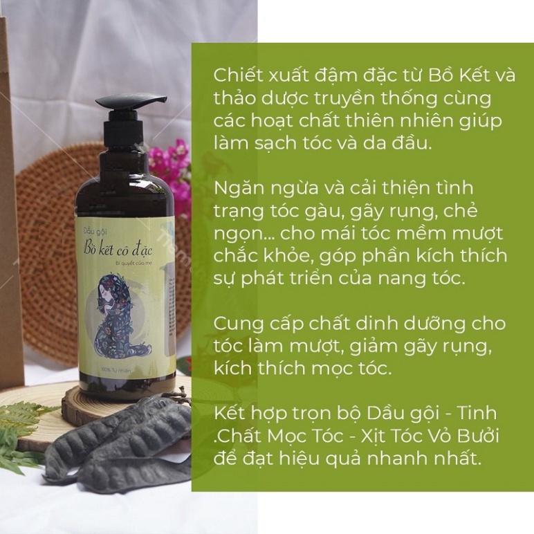 Dầu Gội Bồ Kết  Hàng Chính Hãng  Giảm Gàu, Nấm, Ngứa, Rụng Tóc - 100% Từ Thiên Nhiên - Handmade 500ml