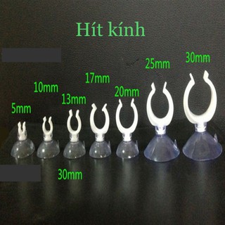 Hít kính giữ ống - hít kính giữ ống dây oxi, dây ống lọc thuỷ sinh
