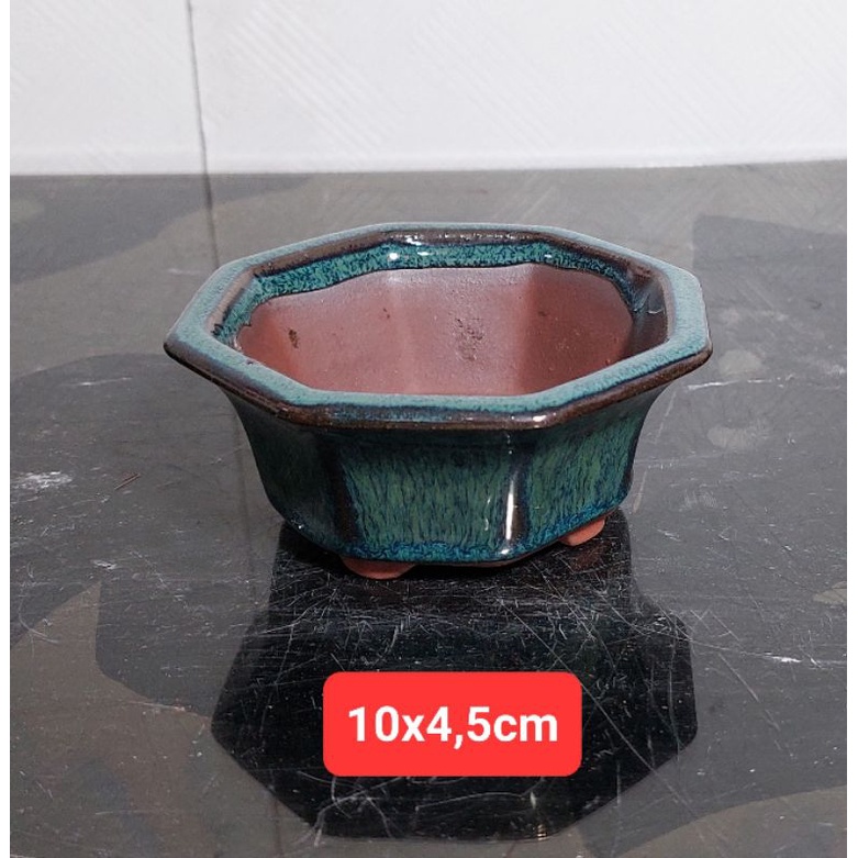 Chậu gốm nhỏ trồng sen đá mini. cây bonsai mini nhỏ