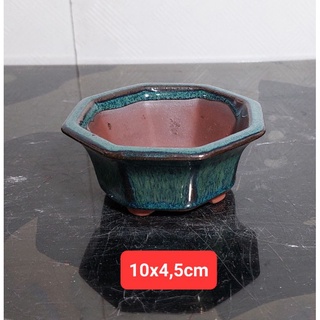 Chậu gốm nhỏ trồng sen đá mini. cây bonsai mini nhỏ