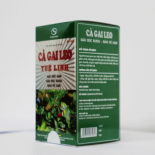 Cà Gai Leo Tuệ Linh (Hộp 60 viên) - Giúp Bảo Vệ Và Phục Hồi Tế Bào Gan - cvspharmacy