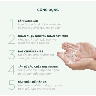 Sữa Rửa Mặt Caryophy Portulaca Cleansing Foam
