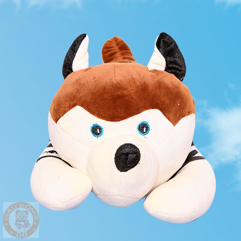 Gấu Bông chó Husky hàng cao cấp - 65cm