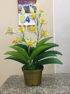Hoa vải voan