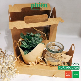 Set quà cây lá may mắn và nến thơm tặng người yêu, Hộp quà cây và nến