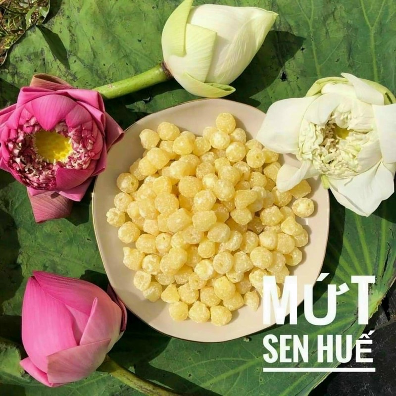 Mứt hạt sen Huế siêu ngon - 500g [FREE SHIP] TỪ ĐƠN 50K, [Loại Đặc Biệt] Hàng ngon nhà làm