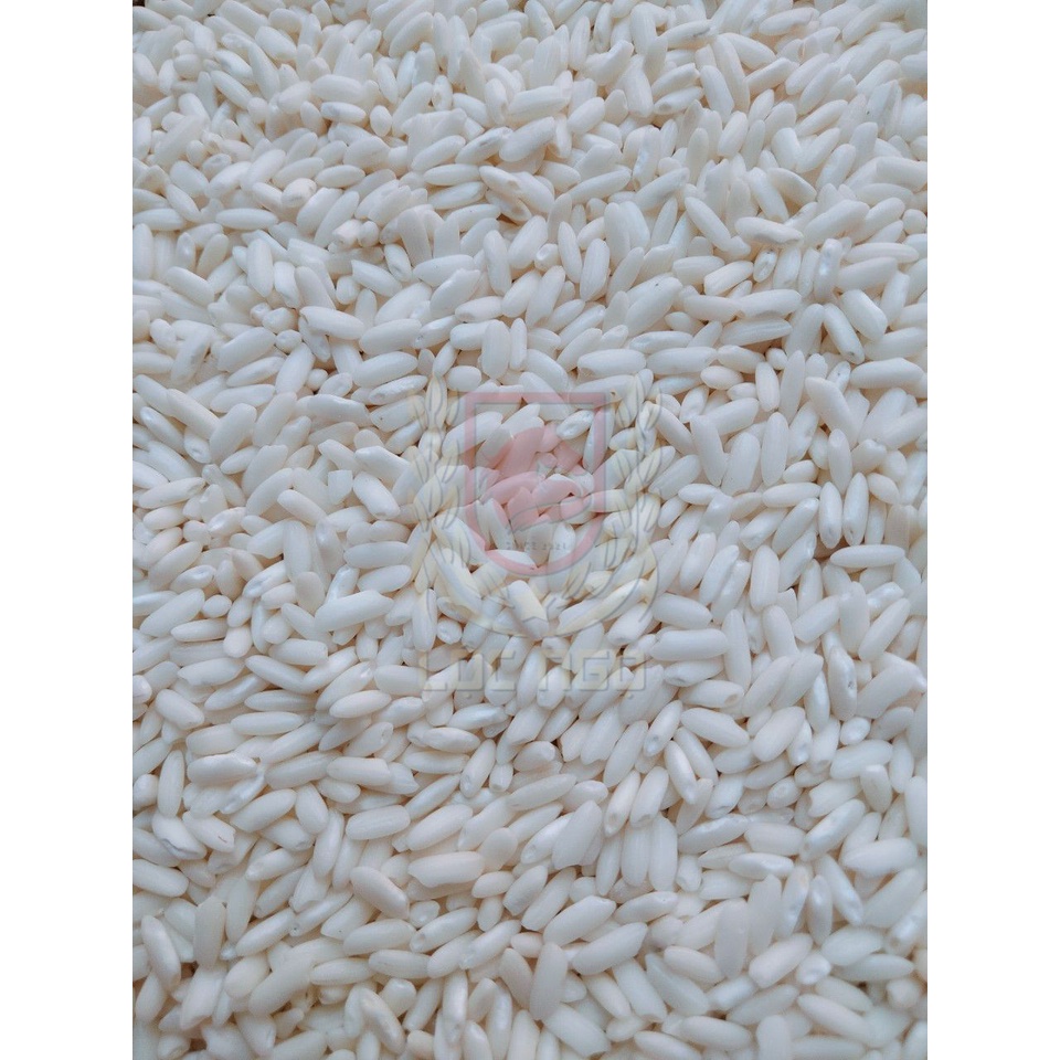 Nếp Long An - Dẻo Thơm - Túi 1kg - Túi Hút Chân Không