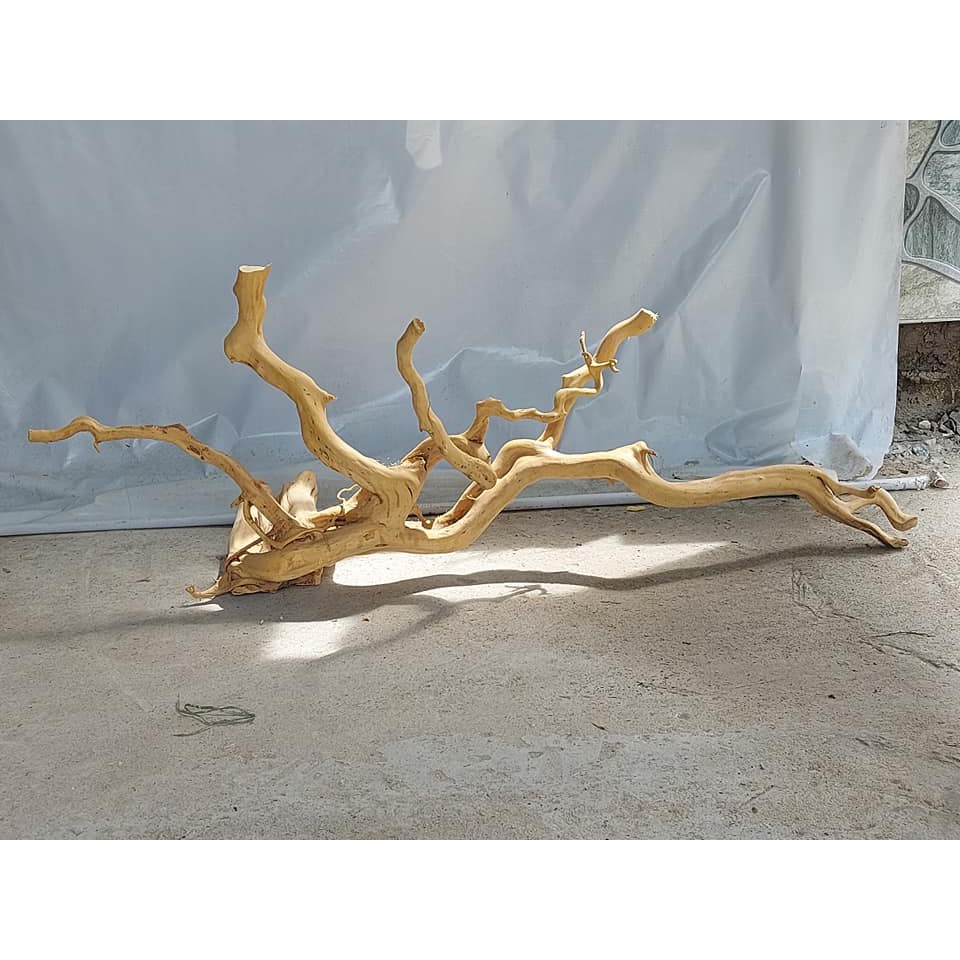 LŨA NHÁNH ĐỖ QUYÊN TRANG TRÍ HỒ CÁ THUỶ SINH