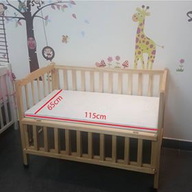 Nệm bông ép 65x115x5