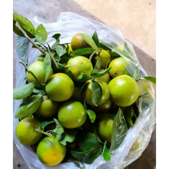 Cam xoàn bao ngọt 1kg 7trai